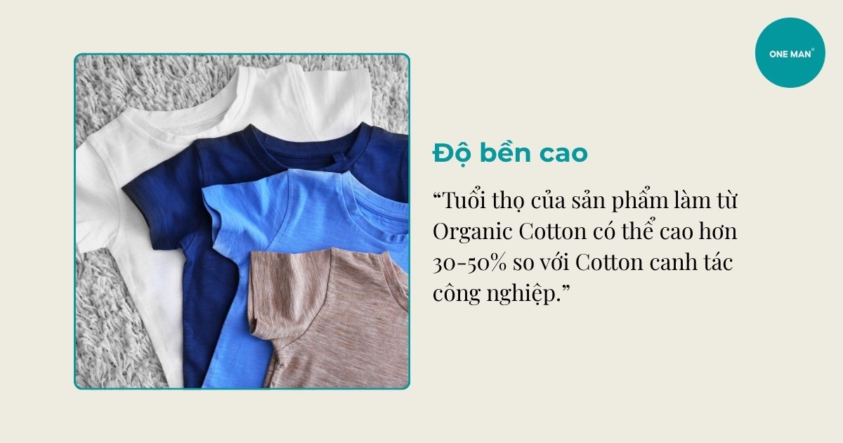 Độ bền cơ học
