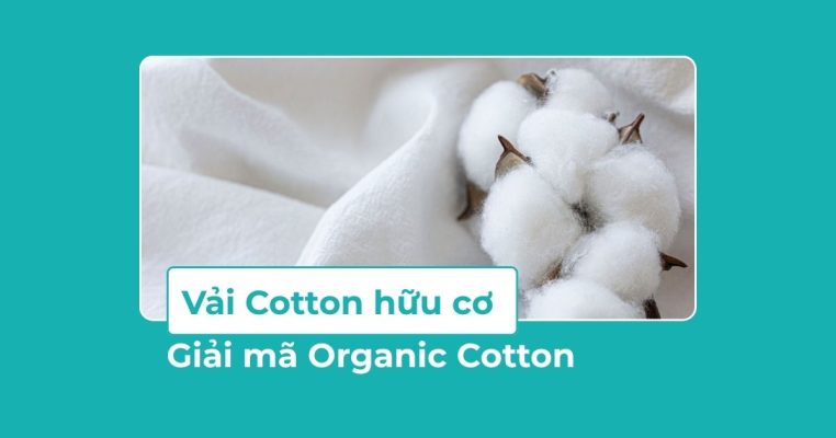Vải Cotton hữu cơ là gì? Giải mã Organic Cotton